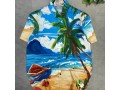 male-summer-or-beach-shirts-small-2