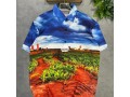 male-summer-or-beach-shirts-small-1