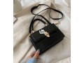 ladies-handbags-small-0