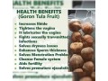 snot-apple-goron-tula-fruit-azanza-garckeana-fruit-10-counts-per-pack-small-0