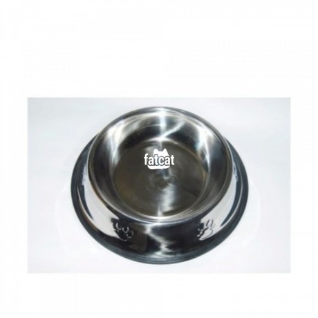 Classified Ads In Nigeria, Best Post Free Ads - pet-stainless-bowl-big-0