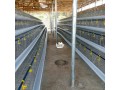 poultry-cage-small-1