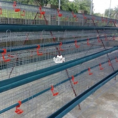 Classified Ads In Nigeria, Best Post Free Ads - poultry-cage-big-0