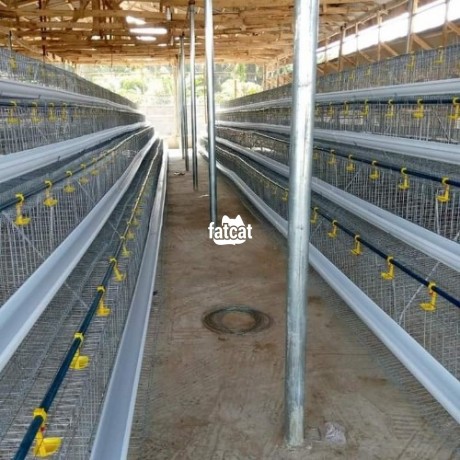 Classified Ads In Nigeria, Best Post Free Ads - poultry-cage-big-1