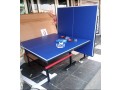 outdoor-table-tennis-board-small-2