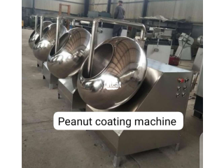 Peanut coating machine
