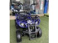 quad-electric-bike-small-1