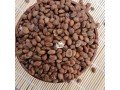 miracleghana-seeds-1-derica-small-0