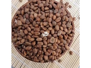 Miracle/Ghana Seeds (1 Derica)