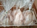 agribest-fresh-and-frozen-chicken-small-0