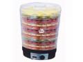 12-tray-food-dehydrator-small-1