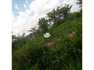 Plots of land for sale