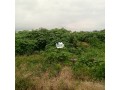 plots-of-land-for-sale-small-0