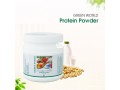 green-world-protein-powder-small-0