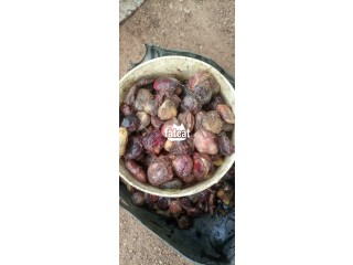 Ugwu seeds available for sale