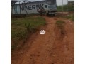 land-100-feet-by-100-feet-at-evboneka-benin-city-less-than-15-minutes-from-oluku-for-sale-small-1