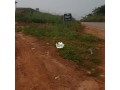 land-100-feet-by-100-feet-at-evboneka-benin-city-less-than-15-minutes-from-oluku-for-sale-small-0
