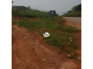 Land 100 feet by 100 feet at Evboneka, Benin City. Less than 15 minutes from Oluku for Sale