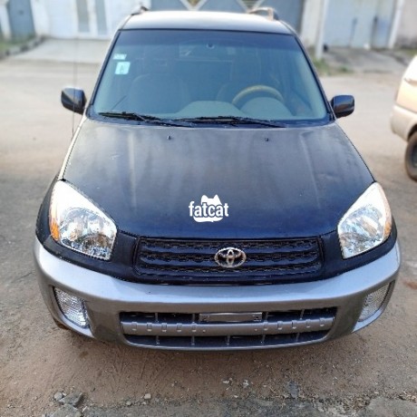 Classified Ads In Nigeria, Best Post Free Ads - nigerian-used-toyota-rav4-2003-for-sale-big-1