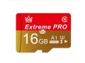 extreme-pro-memory-card-16gb-small-0
