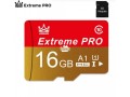 extreme-pro-memory-card-16gb-small-1