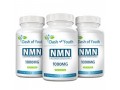 nmn-nicotinamide-1000mg-anti-aging-supplement-small-0