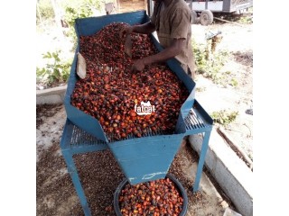 Palm Fruits Filter ( Fruits Screen) For Sale