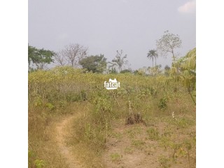 Land for sale at owheologho