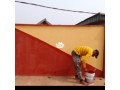 efixy-international-house-painter-small-0