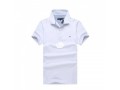 tommy-polo-small-1