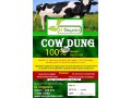 cow-dung-organic-manure-small-1