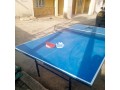 standard-table-tennis-small-0