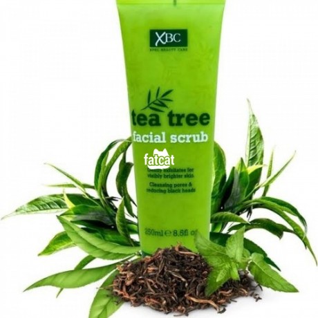 Classified Ads In Nigeria, Best Post Free Ads - tea-tree-facial-scrub-big-0