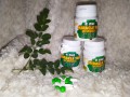 p-one-miracle-tab-moringa-small-1