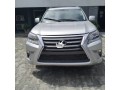 gx-460-lexus-2018-model-silver-colour-small-0