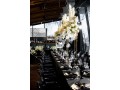 bridal-shower-party-decoration-small-4