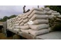 bua-cement-plc-small-1