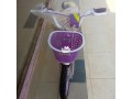 kids-bicycle-small-0