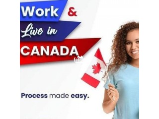 2 years Canada Working Permit Slot with Direct Employment