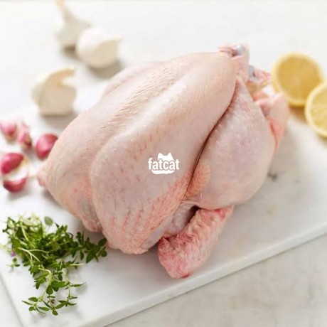 Classified Ads In Nigeria, Best Post Free Ads - frozen-chicken-big-1