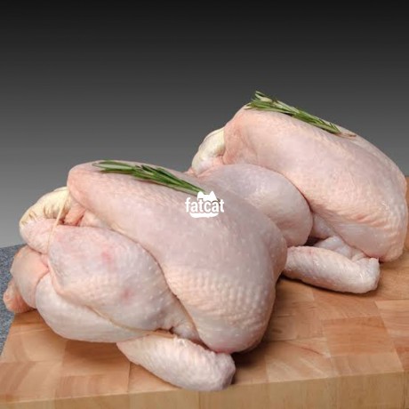 Classified Ads In Nigeria, Best Post Free Ads - frozen-chicken-big-3