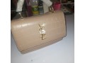 ladies-bags-small-1