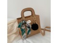 ladies-handbag-small-2