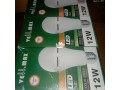 led-light-bulb-small-3