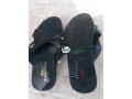 mens-lacoste-sandal-small-1