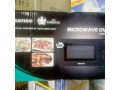 microwave-oven-small-2