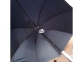 umbrella-small-1