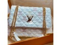 louis-vuitton-ladies-handbags-small-3