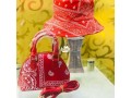 ladies-design-handbags-with-cover-cap-small-1