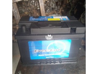 Everstart Car Battery